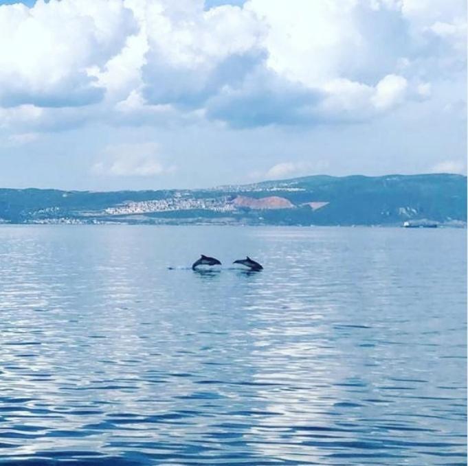 Blue Pier Hotel Kocaeli Esterno foto